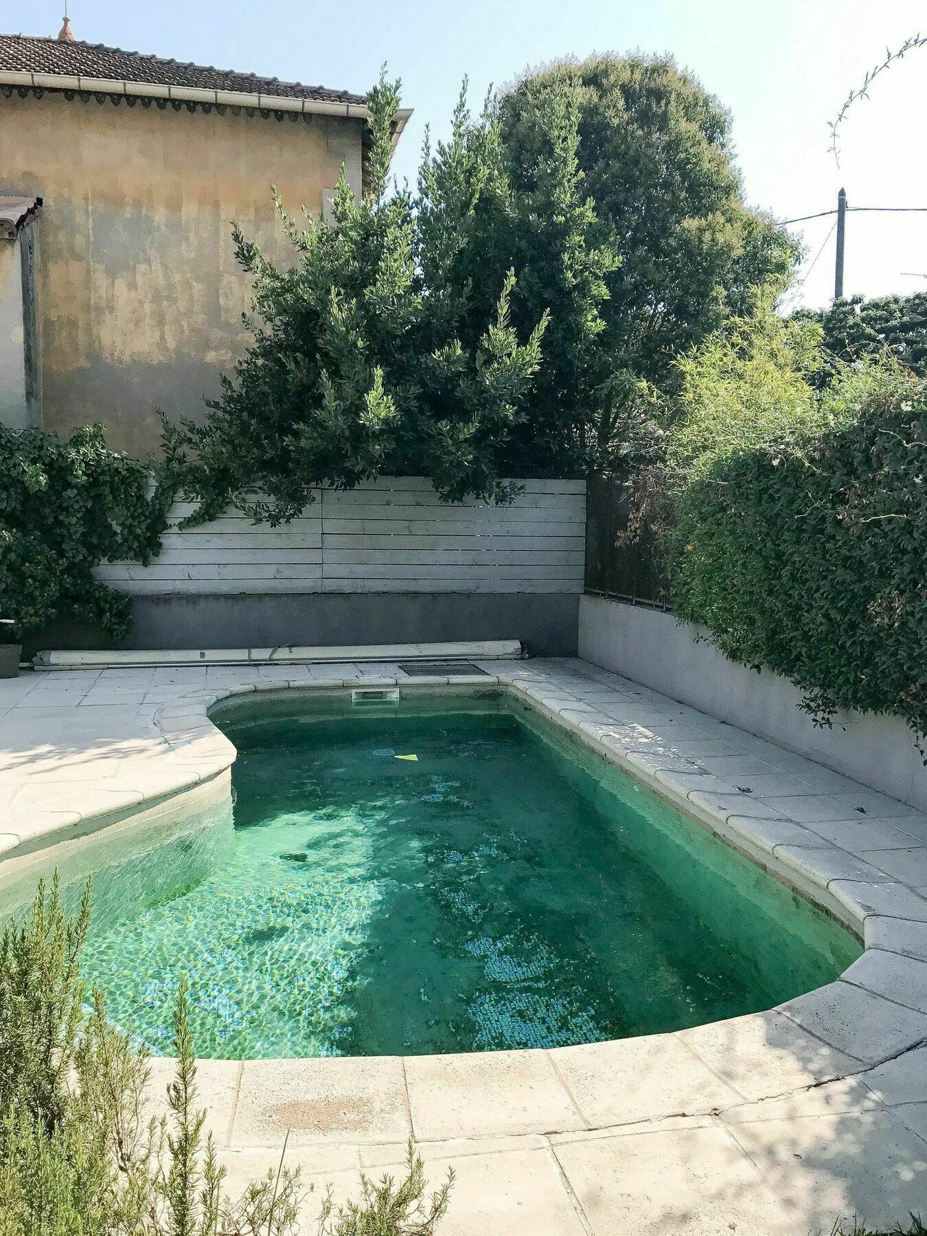 Palmeira, Piscine - Parking - Clim Arles Bagian luar foto