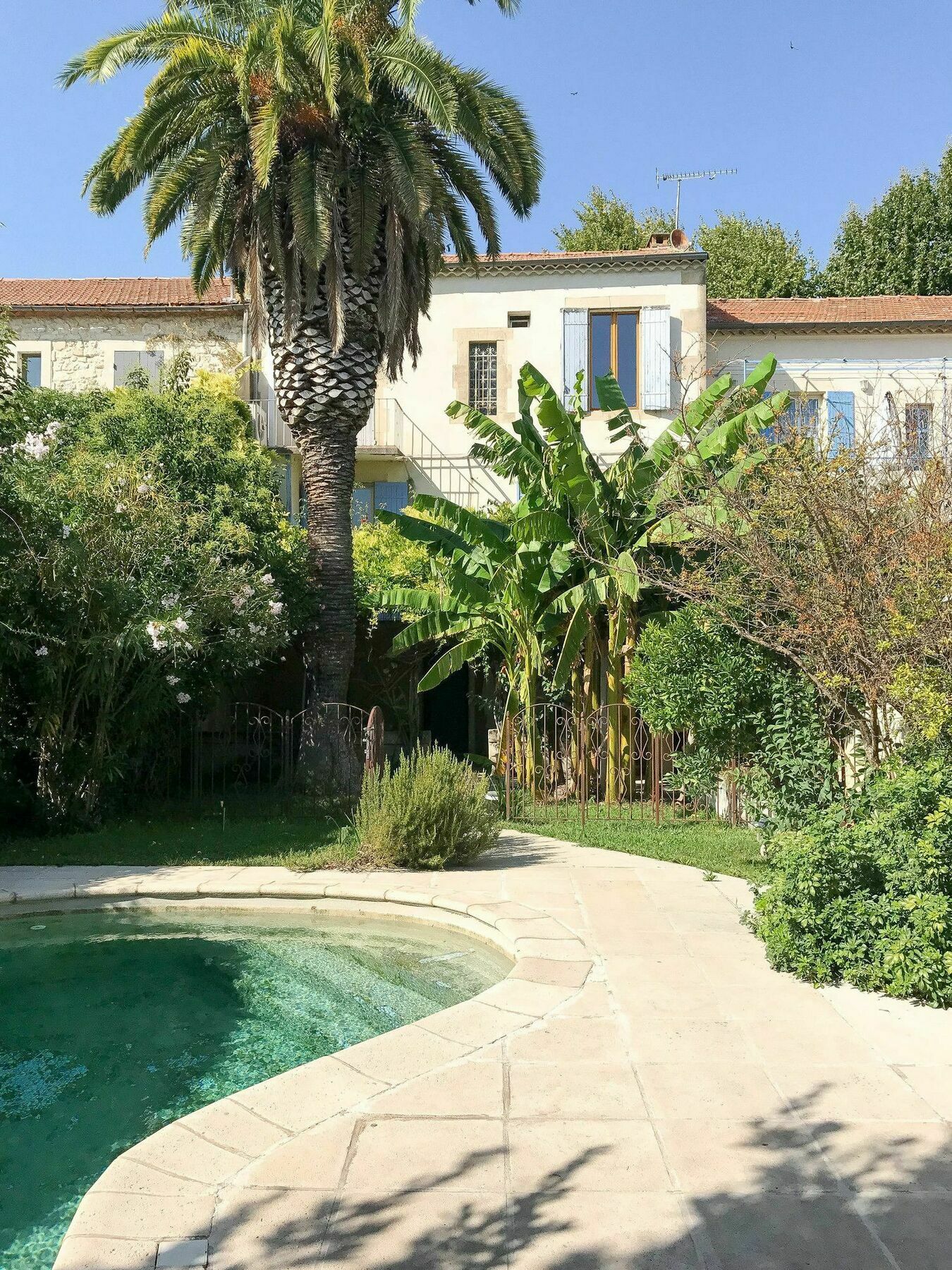 Palmeira, Piscine - Parking - Clim Arles Bagian luar foto