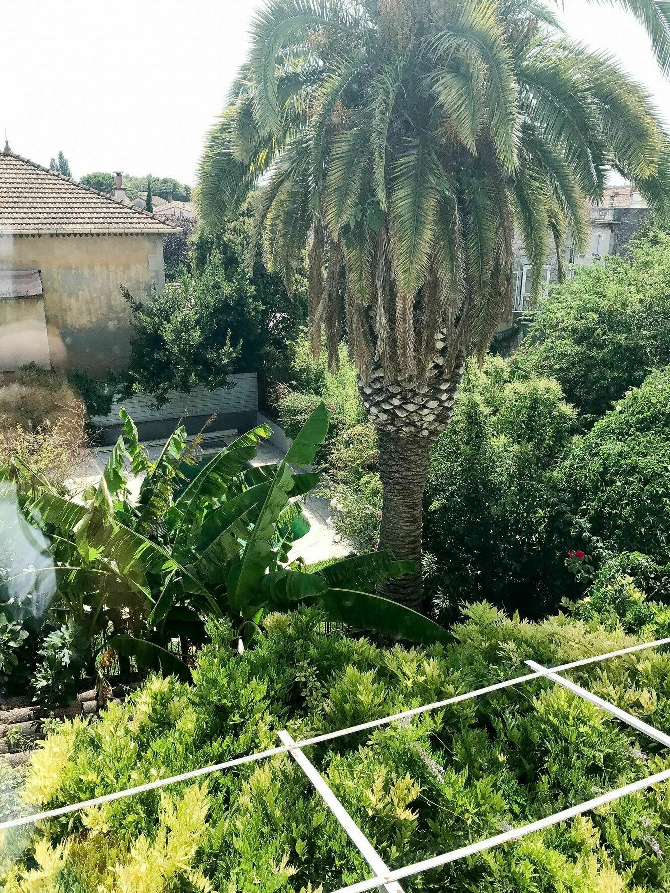 Palmeira, Piscine - Parking - Clim Arles Bagian luar foto